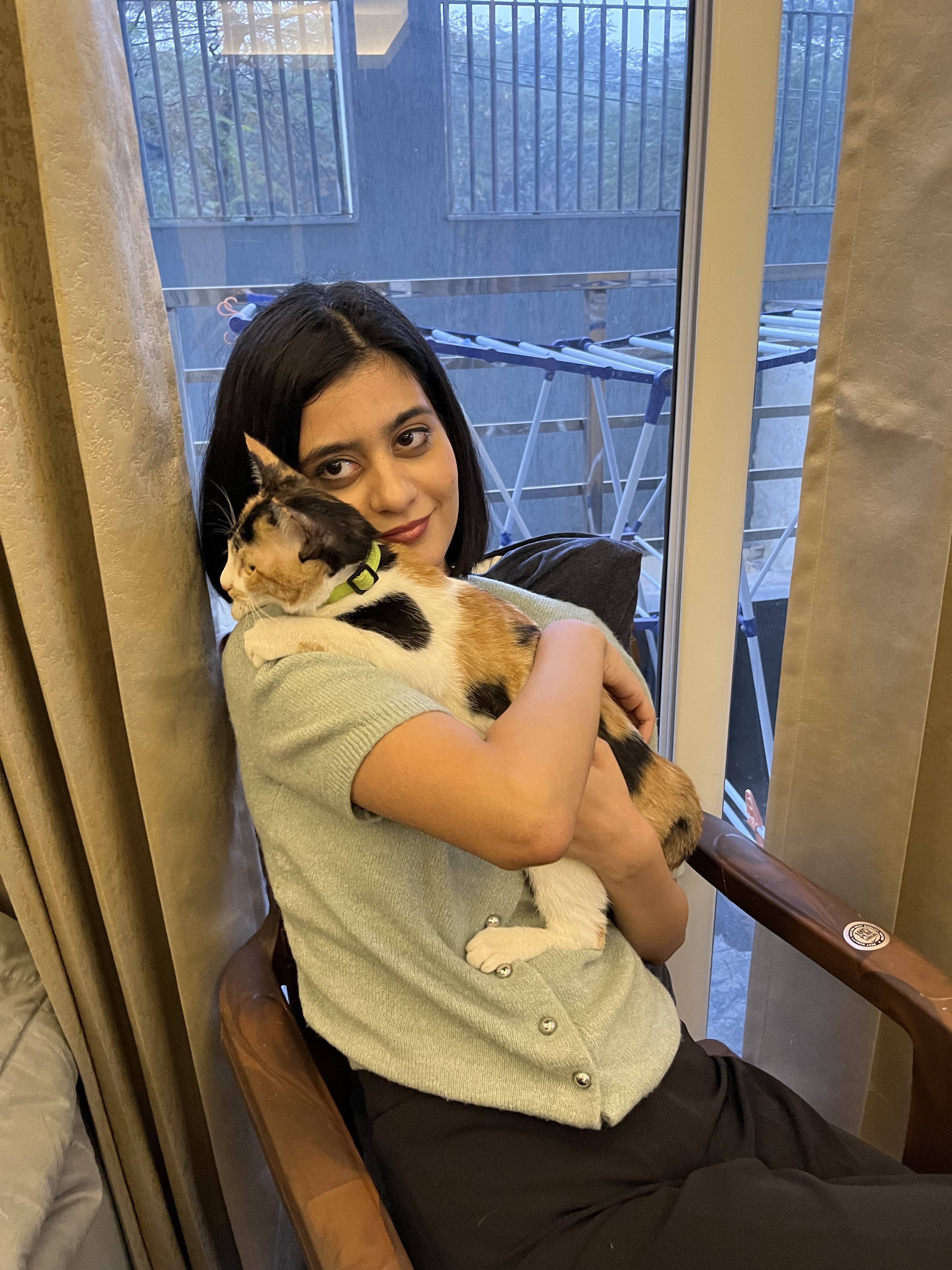 Laavya cat boarding
