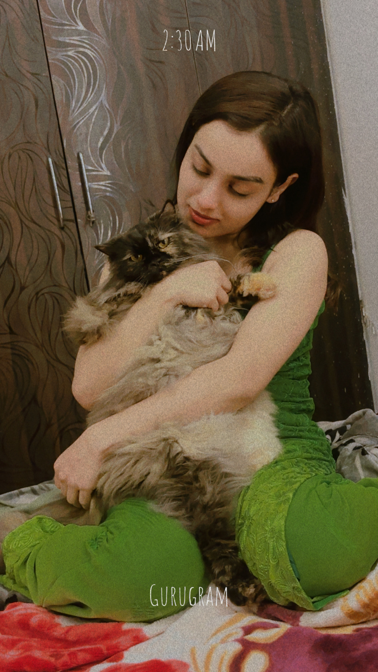 Neha  cat boarding in Gurgaon