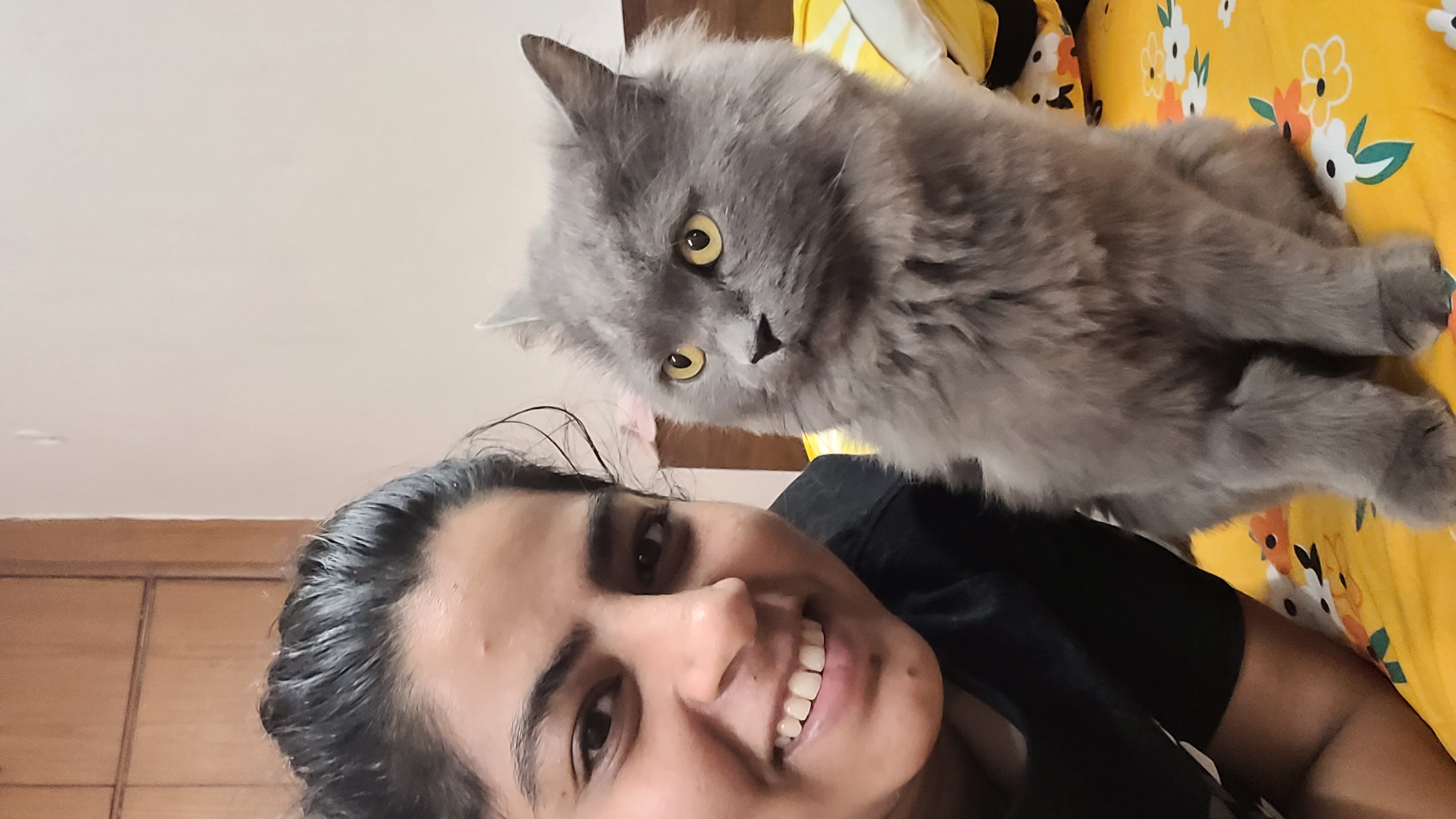 Akanksha Chawla cat boarding